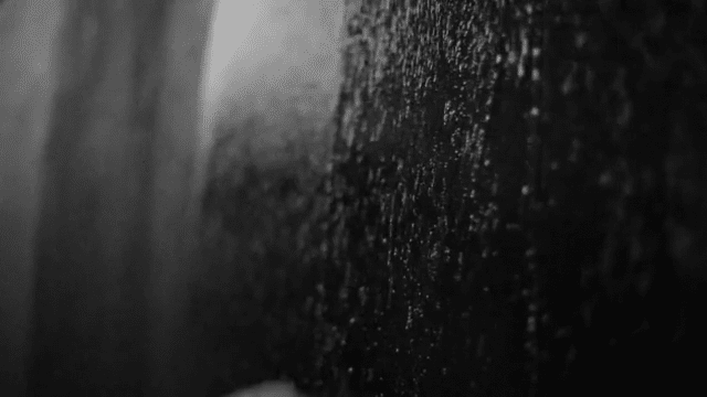 Curtis Redden (Curtis Create) - Image 2